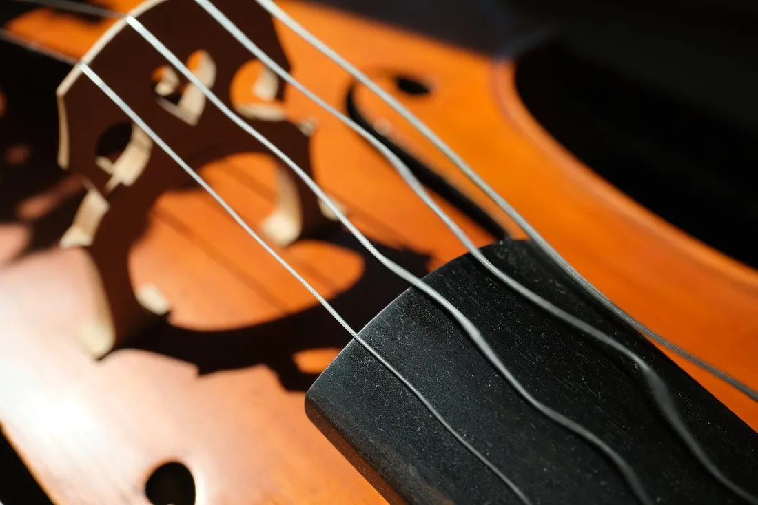 Rolling shutter effect on cello strings